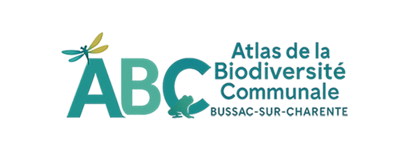 ABC Bussac sur Charente